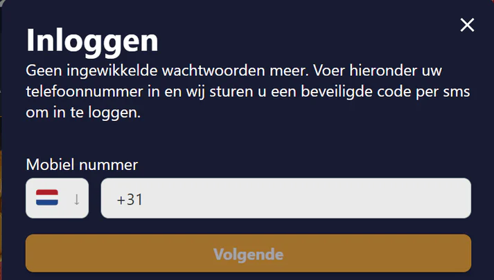 Wat het registratieformulier vraagt